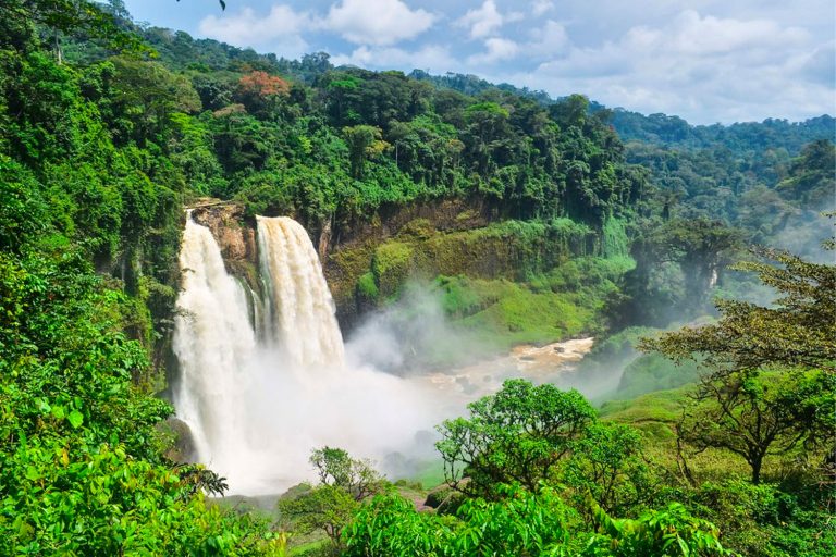 Travelore-Des-Cameroon